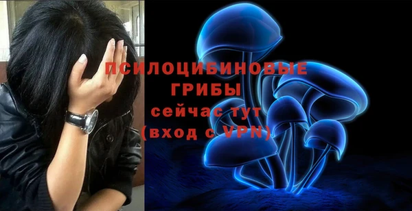 MDMA Premium VHQ Зеленодольск