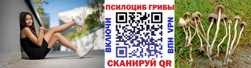 цены   Тында  Псилоцибиновые грибы прущие грибы 