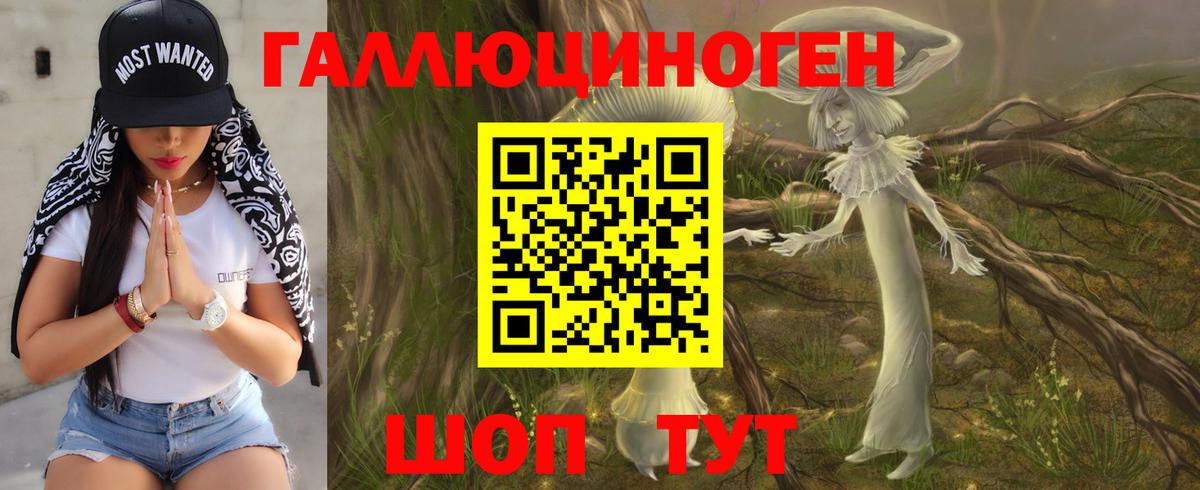 Псилоцибиновые грибы Psilocybe Тында