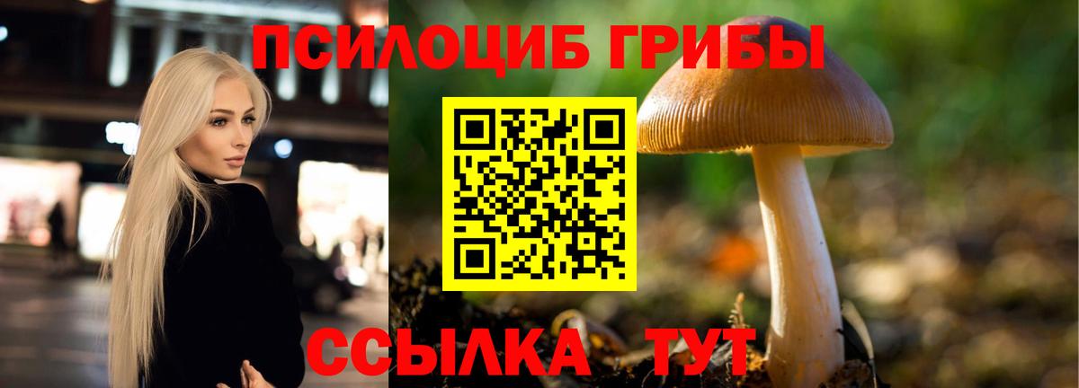 Псилоцибиновые грибы Psilocybe  Псилоцибиновые грибы мицелий  Тында  Вход с VPN 